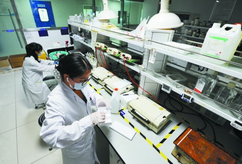 讓創新中藥綻放更多光彩 以嶺藥業以理論創新驅動中醫藥產業化、現代化、國際化